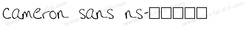cameron sans ns字体转换